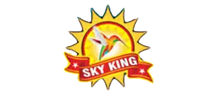 Sky King Fireworks - Colorful Celebration Experts
